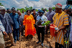 Ghana ready to lead global shea market – Dr Otokunor