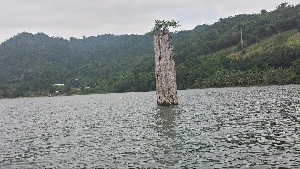 A Rocha Ghana Has Described The Development As Troubling