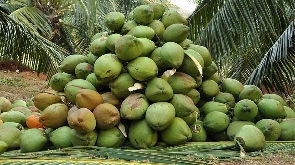 Coconuts have been grown in tropical regions for more than 4,500 years