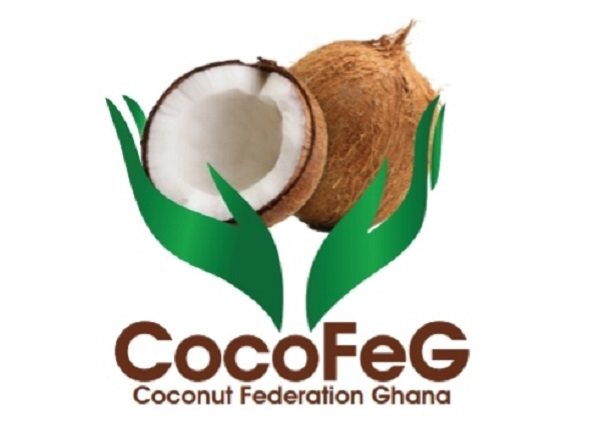 The flagship programme is financed by Ghana Exim Bank