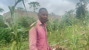 Kofi Essah and other farmers wants to be enrolled on the Planting for Food and Jobs programme