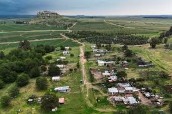 South African denies Trum's offer to rehouse white south African as refugees