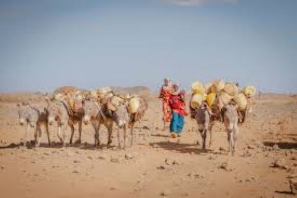 Women take donkeys laden with jerry cans to a community water point in Kambinye, Kenya