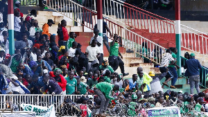 Fans at the stadium during the game