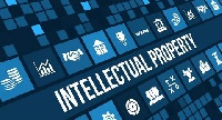 A well-fashioned intellectual property regime could be catalyst for building sustainable businesses