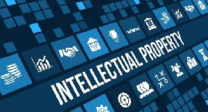 A well-fashioned intellectual property regime could be catalyst for building sustainable businesses