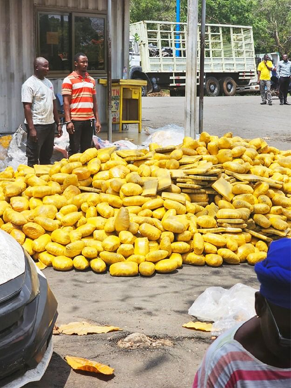 Two arrested for GH¢150,000 bribery attempt in mega Tema drug bust