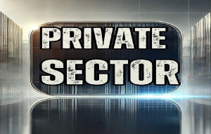 The private sector on the other hand, possesses the flexibility