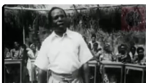 Screenshot from the video showing the teacher