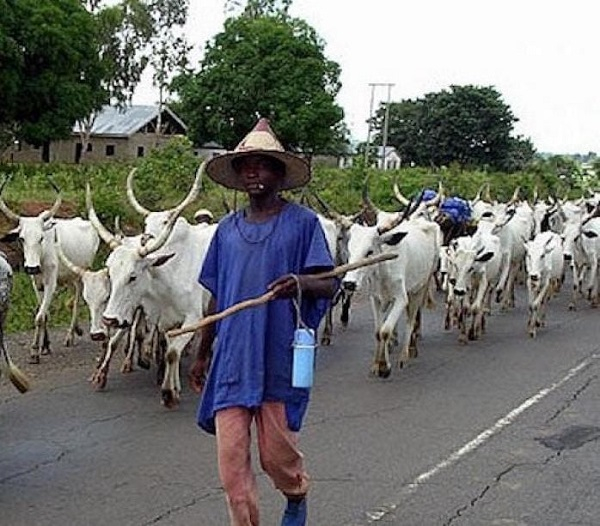 The affected farmers are calling on authorities to take urgent action