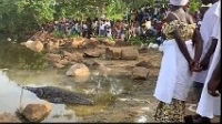 residents begging angry crocodile to allow them fetch water