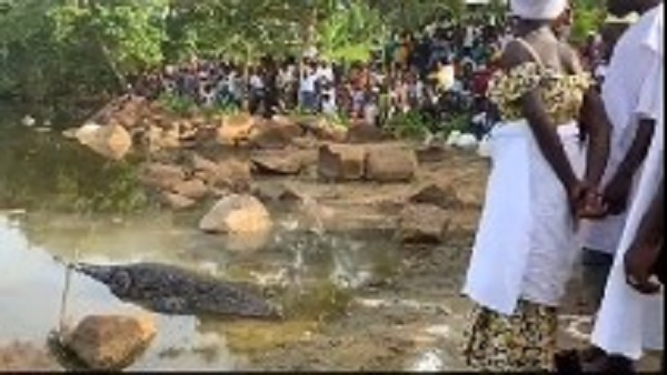 residents begging angry crocodile to allow them fetch water