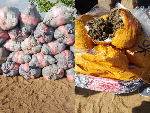 Police intercept canoe with 2,213 suspected Indian hemp slabs on River Volta