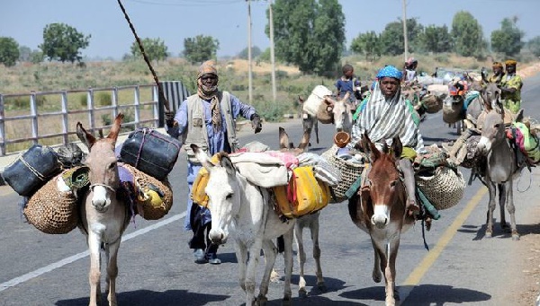 Sheik Osman Barry says the ongoing operation to flush out Fulani herdsmen is unlawful