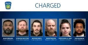 Carjackings 6 Arrests