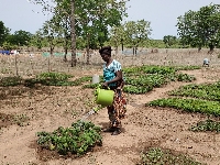 A farmer