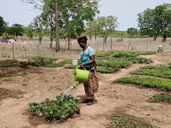 A farmer