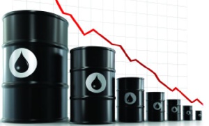 Barrels of oil.   File photo.