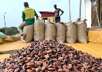 Cocoa prices drop again as buyers hold back in troubled market