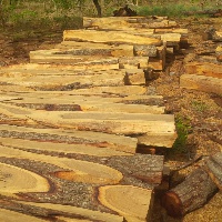 Rosewood logs