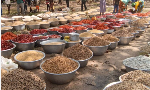 Nkwanta North: Female farmers sound alarm over plummeting produce prices