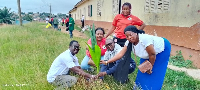 So far, the club has planted about 150 trees