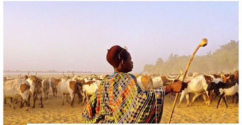 File Photo of a Fulani herdsman