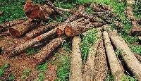 Lumbering is a major cause of deforestation