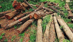 Deforestation Production 2 