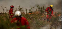 Firefighters are battling to contain wildfires