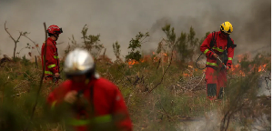 Firefighters are battling to contain wildfires