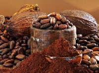 Research has shown that cocoa contains anti-oxidants and flavonoids which enhance blood circulation