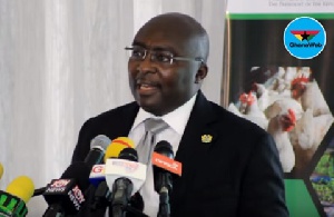 Vice President, Dr Mahamudu Bawumia