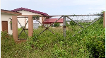 Weeds take over multi-million 1D1F starch factory in Assin South