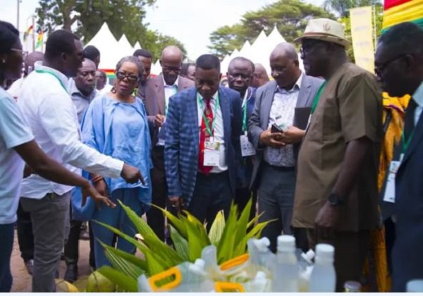 The coconut festival highlighted the economic and health benefits of the commodity