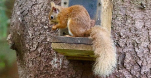 Screenshot 2026 04 22 181934.png