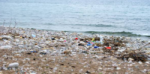 Beach Conta2.png