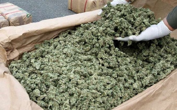 About 50 sacks of dry leaves believed to be Indian hemp were intercepted