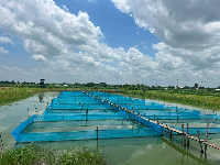 Ghana's aquaculture sector continues to be positioned as a key contributor