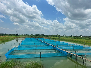 Aquaculture Sector  Fishing Pond Ew