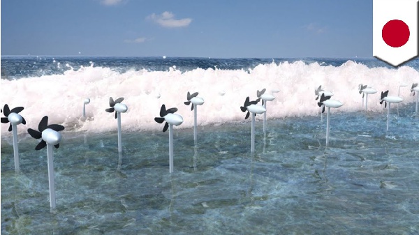 The assembly member is calling on government to build a sea defence for the community
