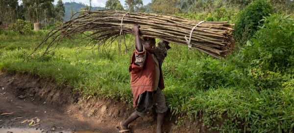 File photo of a child carrying wood