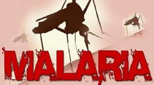 Reports says 17 MMDAs did not get budget for malaria programmes