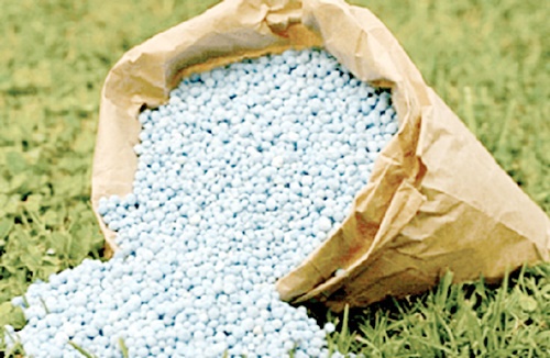 The fertiliser subsidy programme introduced in 2017 targeted smallholder farmers