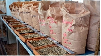Variety of coffee beans from various farms all over the country displayed for auction.