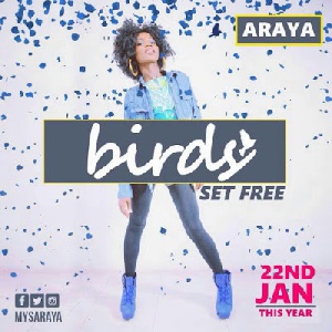 Araya Birds