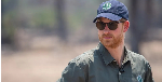 Prince Harry steps down from African wildlife charity board
