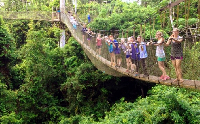 Photo of foreign nationals at Kakum National Park
