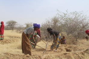 Niger Women Tilling Ground 