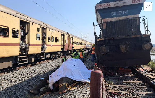 Train passengers use their mobile phones to take photographs of a dead elephant